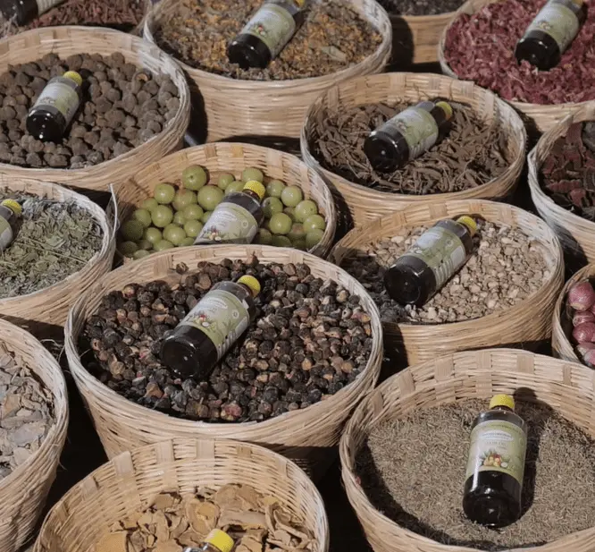 Adivasi Hair Oil | Adivasi Originals - Image 6