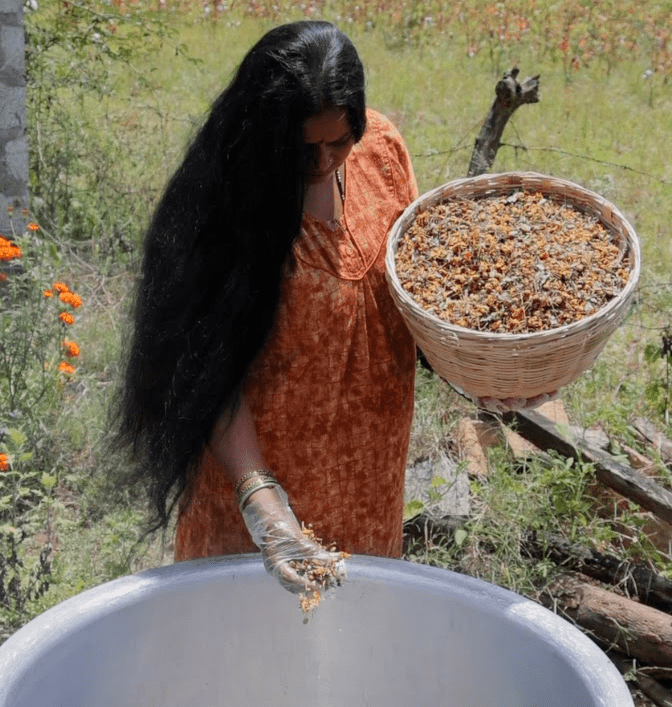 Adivasi Hair Oil | Adivasi Originals - Image 4